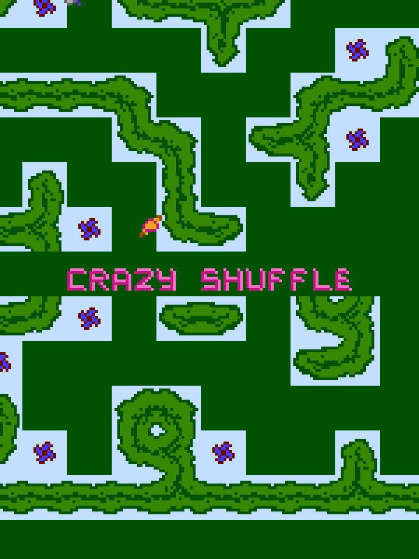 Crazy Shuffle cover