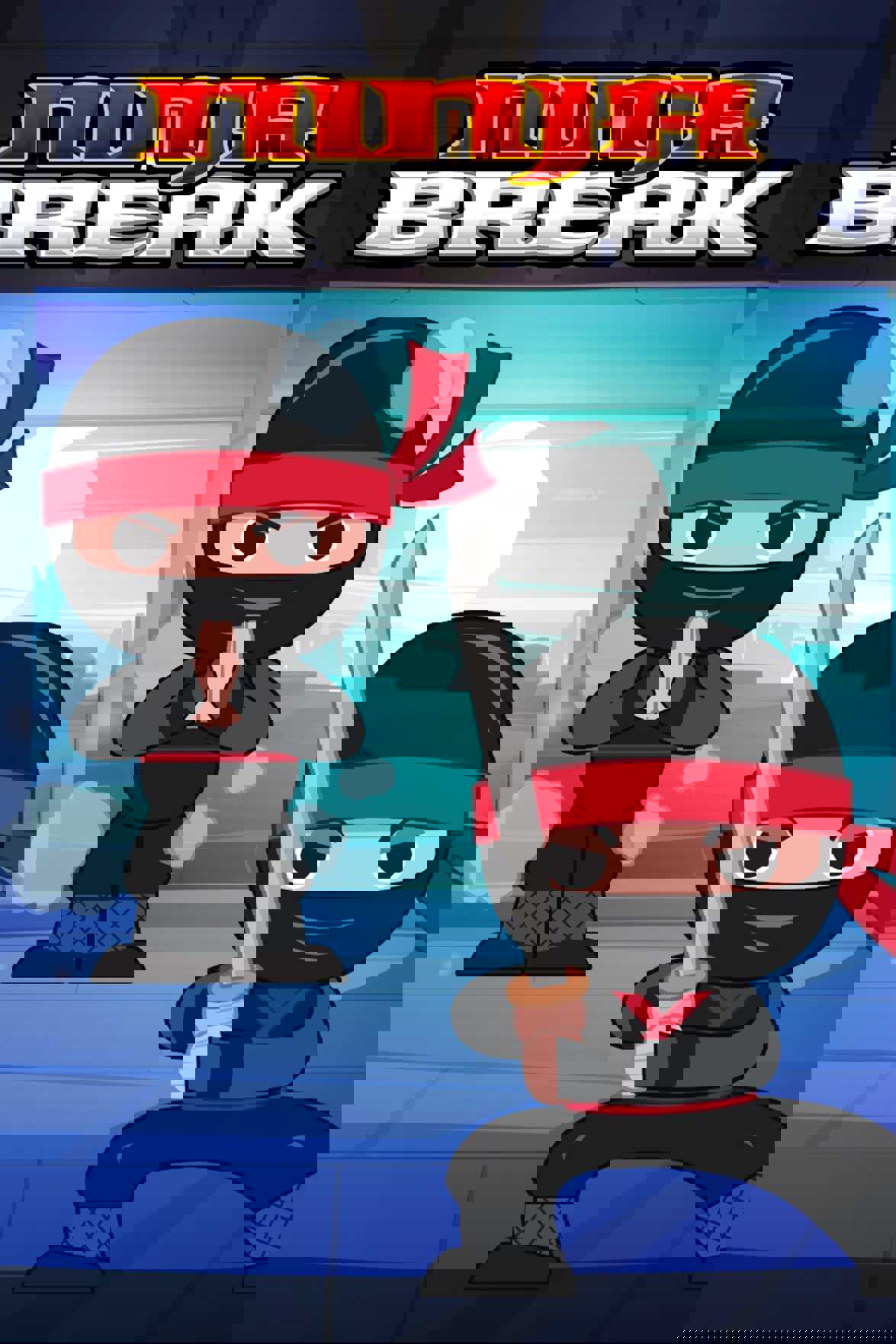 Ninja Break cover