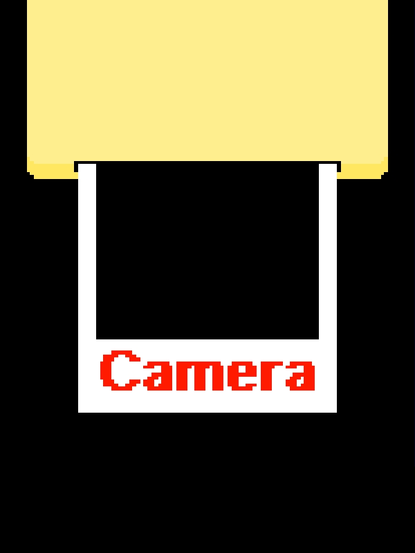 Camera cover