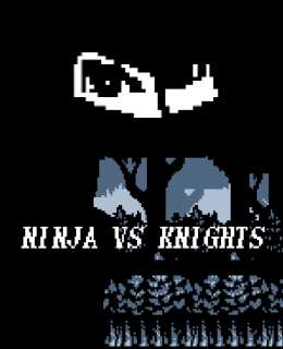 Ninja vs. Knights cover