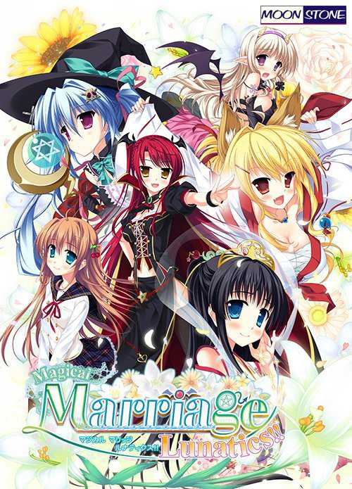 Magical Marriage Lunatics!! cover