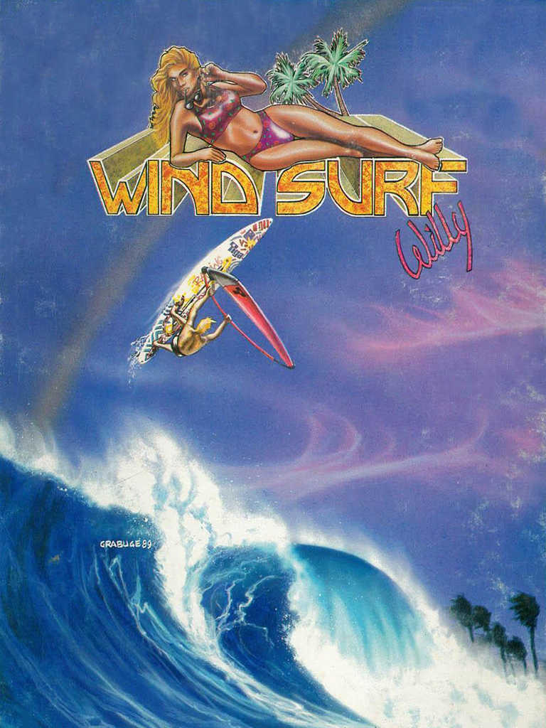 Wind Surf Willy cover