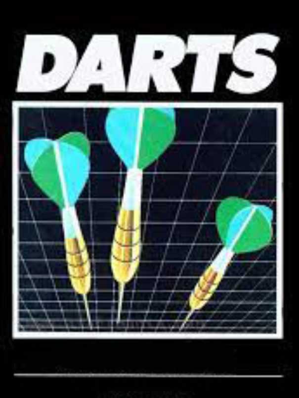 Darts cover