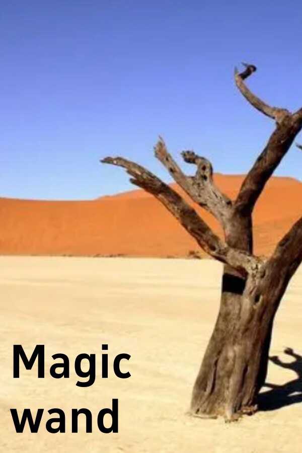 Magic Wand cover