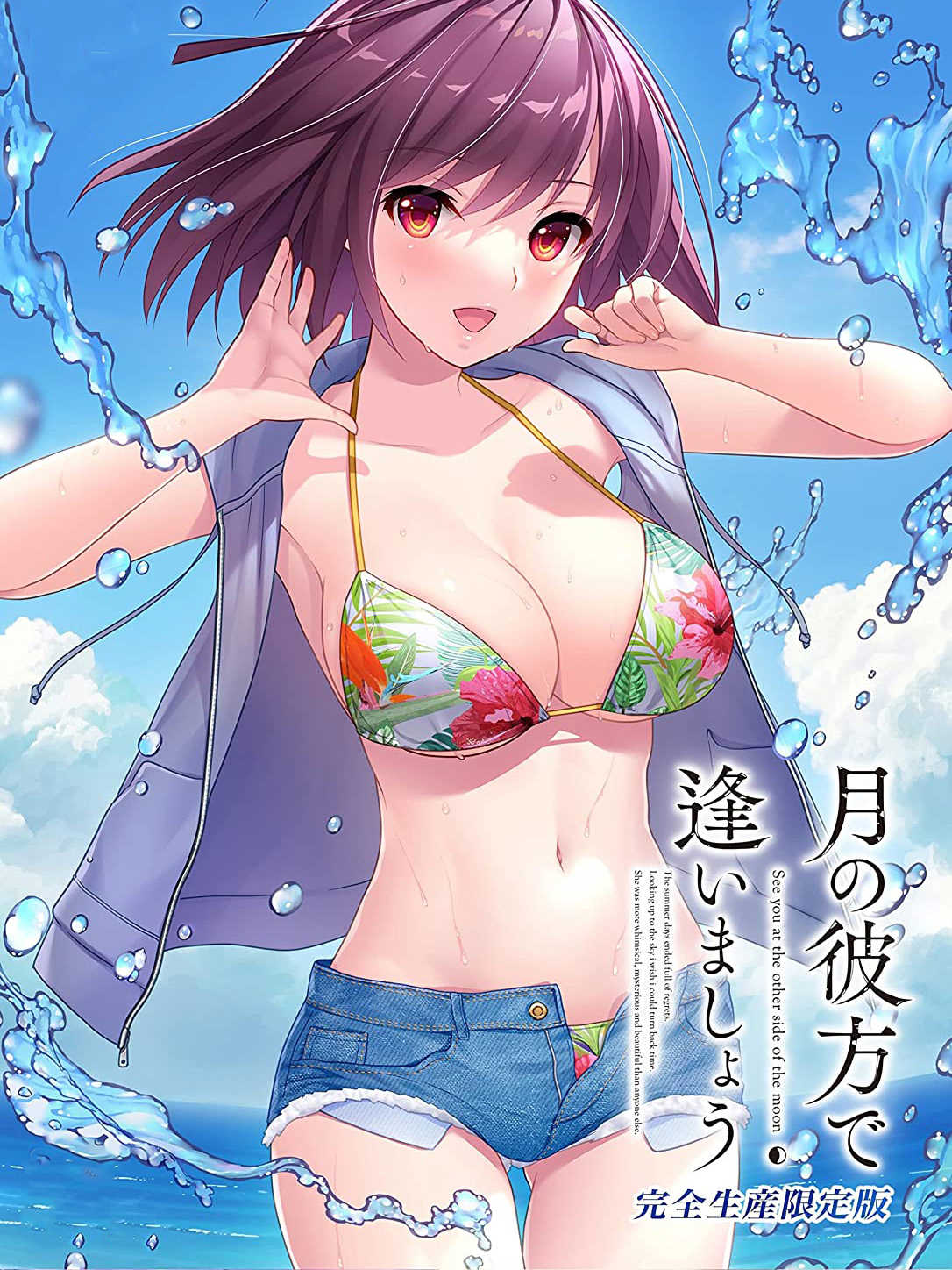 Tsuki no Kanata de Aimashou: Complete Limited Edition cover