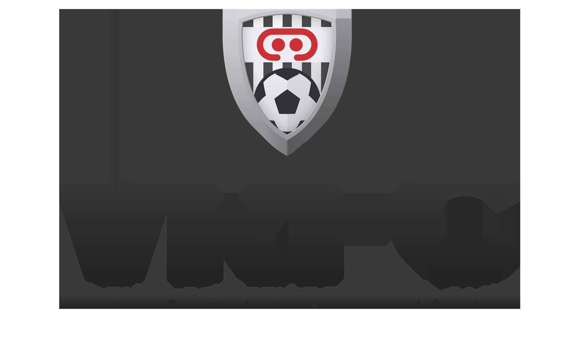 VRFC Virtual Reality Football Club cover