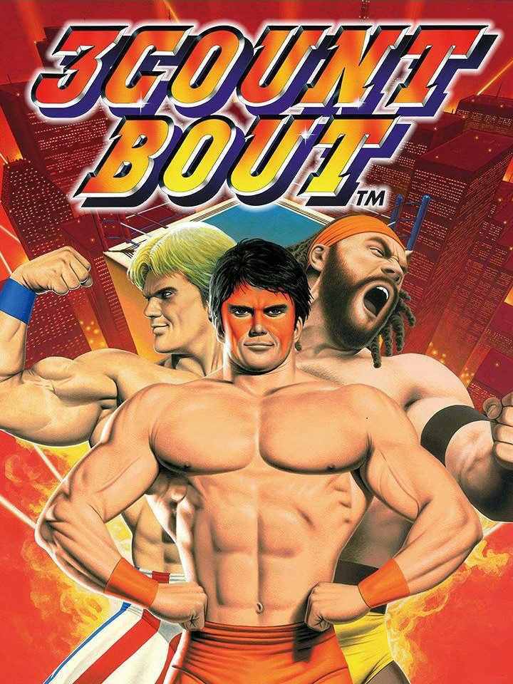 3 Count Bout cover