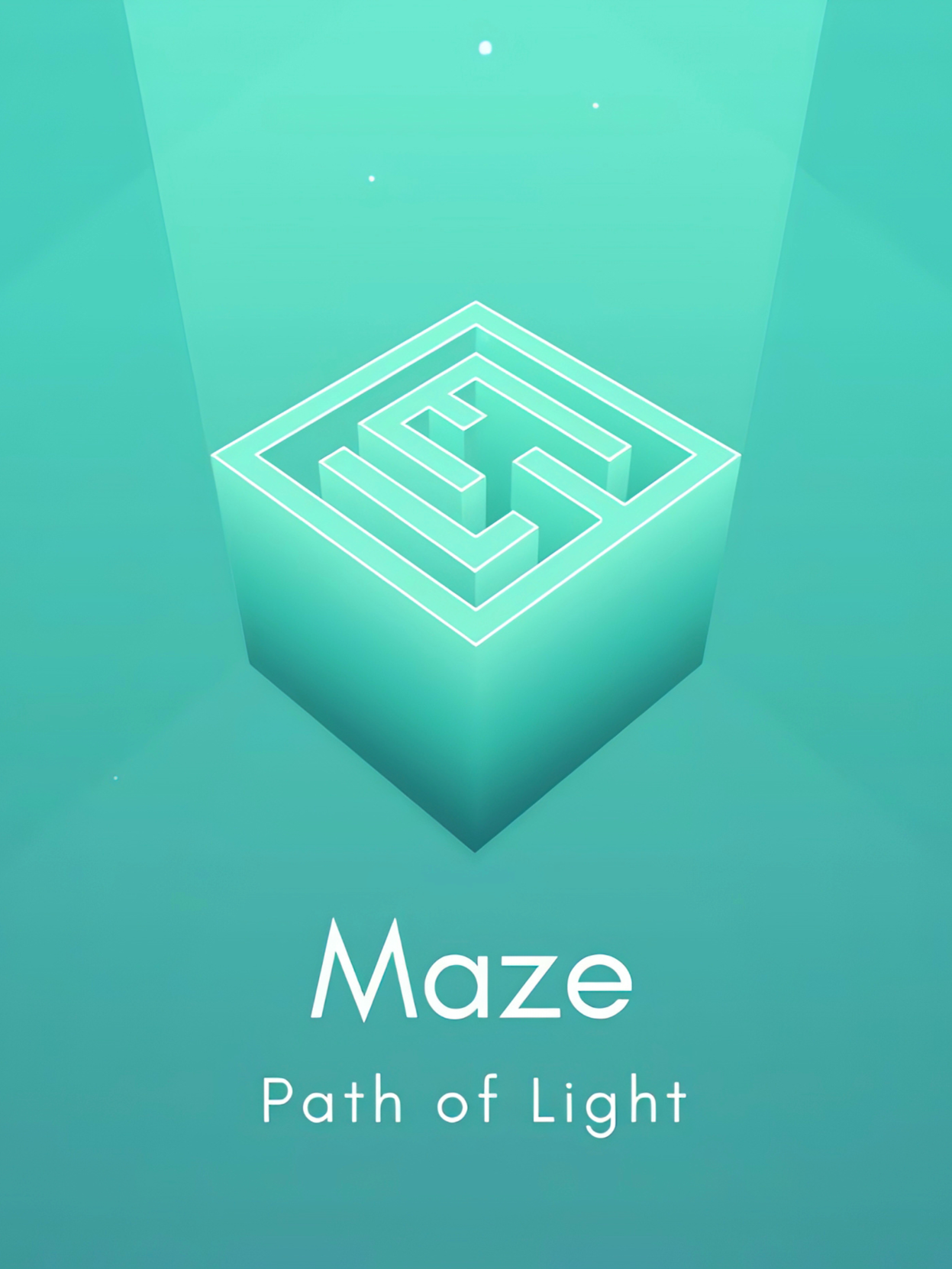 Maze cover