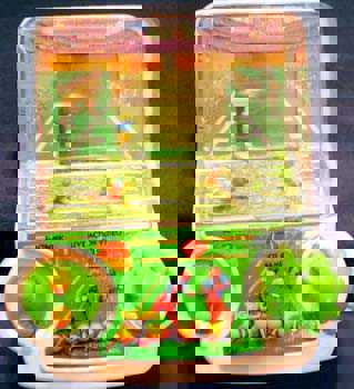 3D Football cover