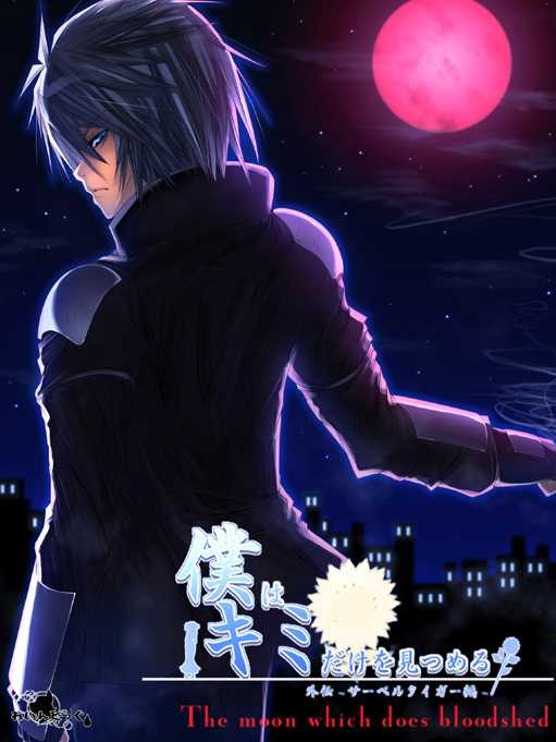 Boku wa Kimi dake o Mitsumeru Gaiden: Saber Tiger Hen cover
