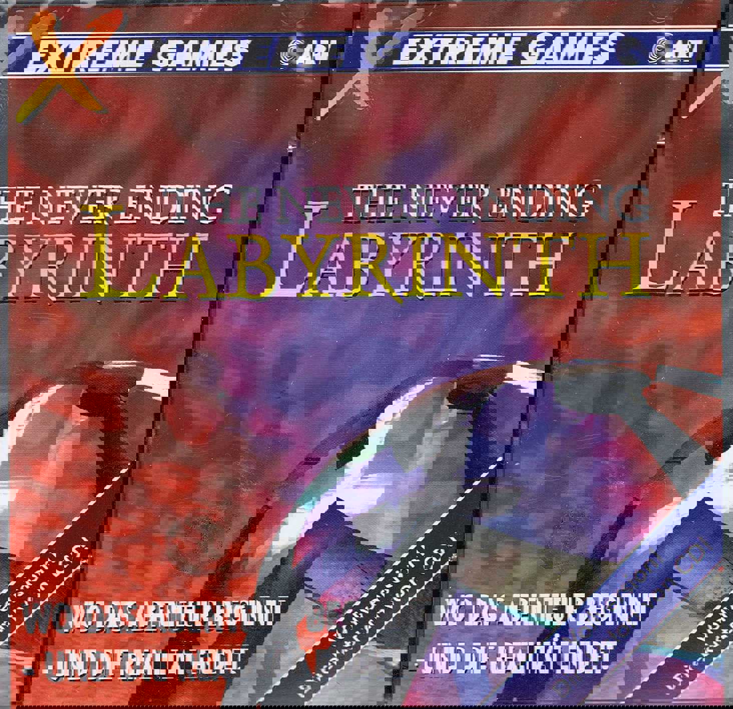 The Neverending Labyrinth cover