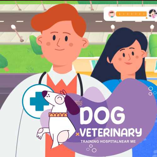 Dog Veterinary: Training Hospital Near Me