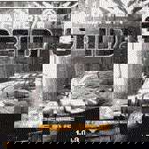 Race Driver Grid 3D