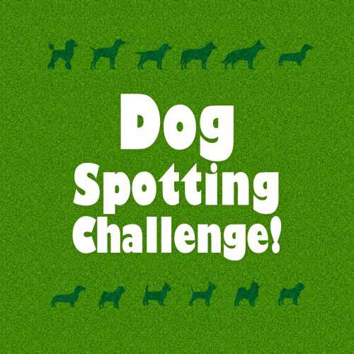 Dog Spotting Challenge!
